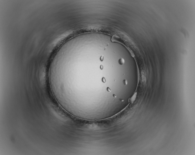 X0000113910588200910081851