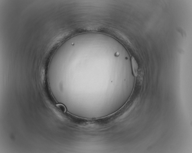 X0000113910589200910081851