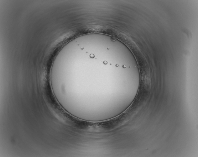 X0000113910591200910081851