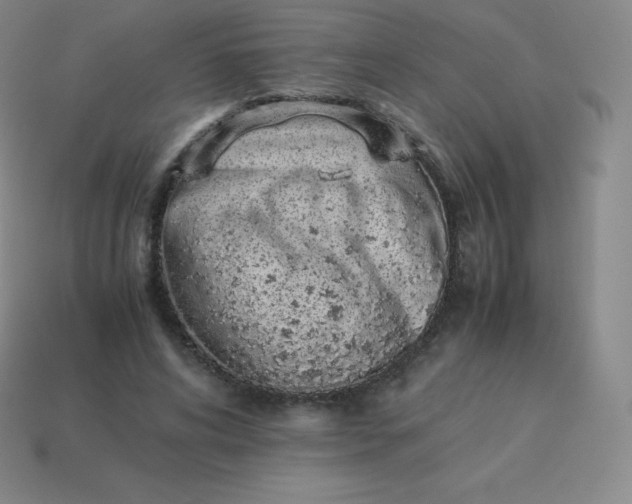 X0000113910592200910081851