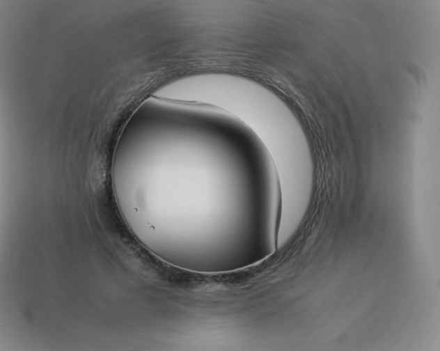 X0000113910593200910081851