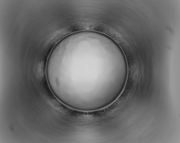 X0000113910594200910081851