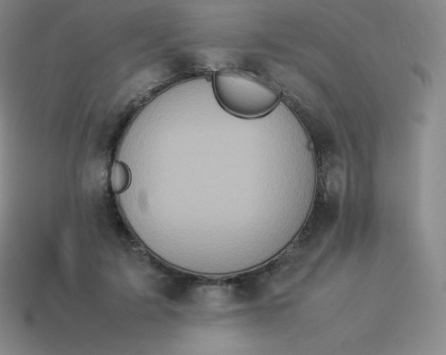 X0000113910595200910081851