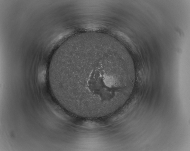 X0000113910596200910081851