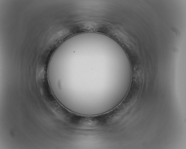 X0000113910597200910081851