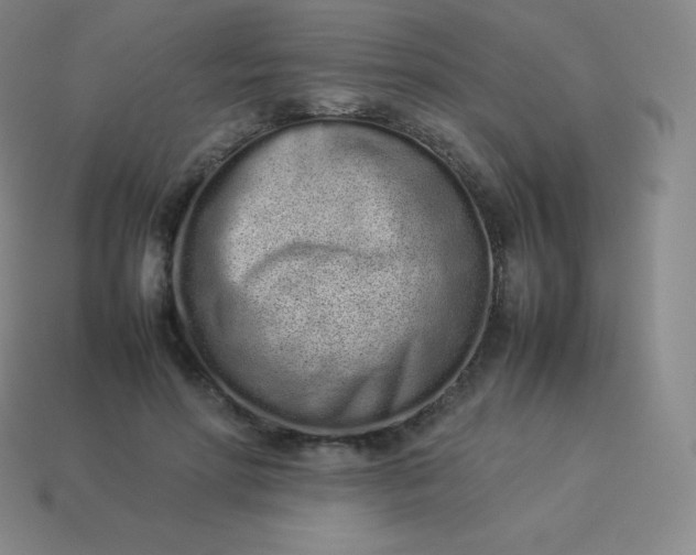 X0000113910598200910081851