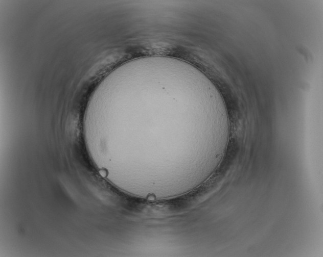 X0000113910599200910081851