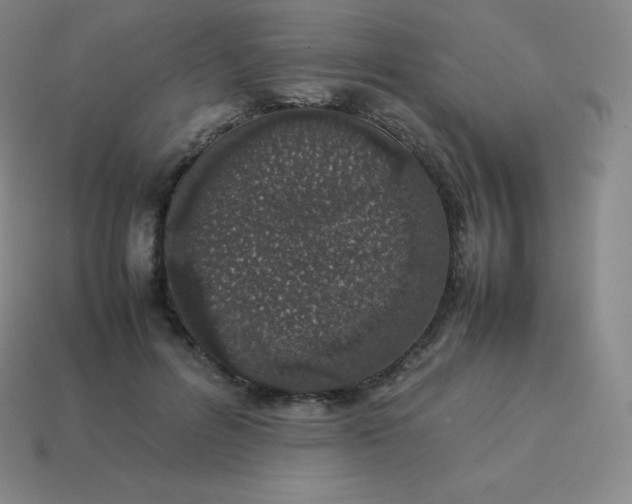 X0000113910600200910081851