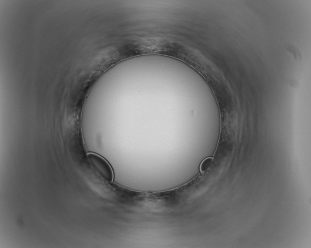 X0000113910601200910081851