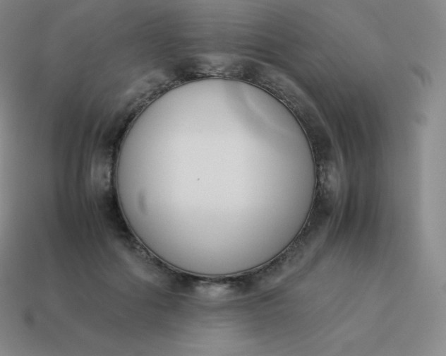 X0000113910602200910081851