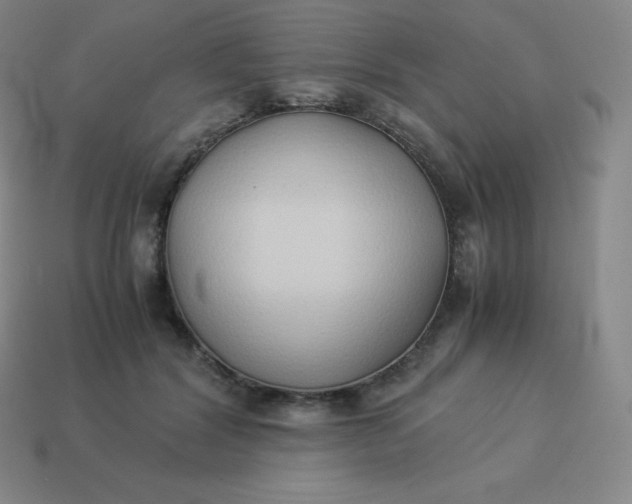 X0000113910604200910081851