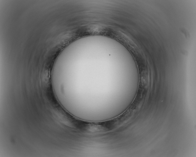 X0000113910605200910081851