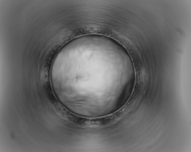 X0000113910606200910081851