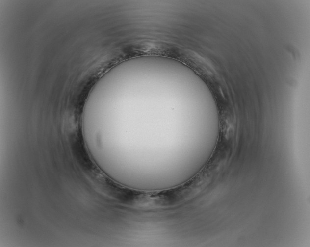 X0000113910607200910081851