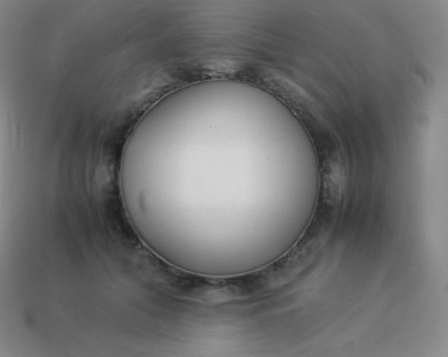 X0000113910608200910081851