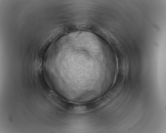 X0000113910610200910081851