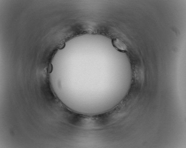 X0000113910611200910081851