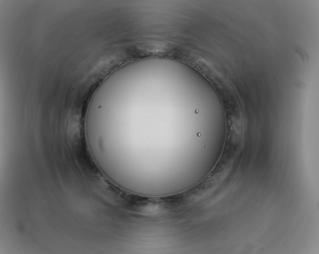 X0000113910612200910081851