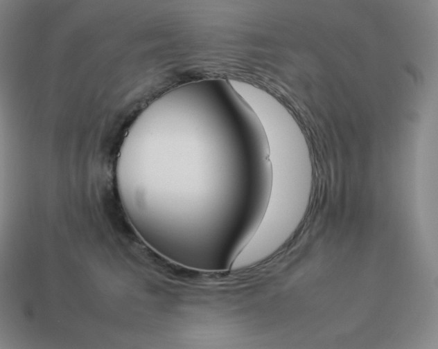 X0000113910613200910081851