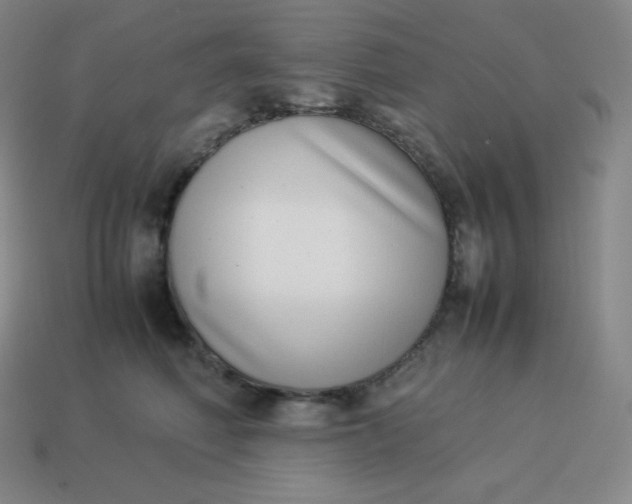 X0000113910614200910081851