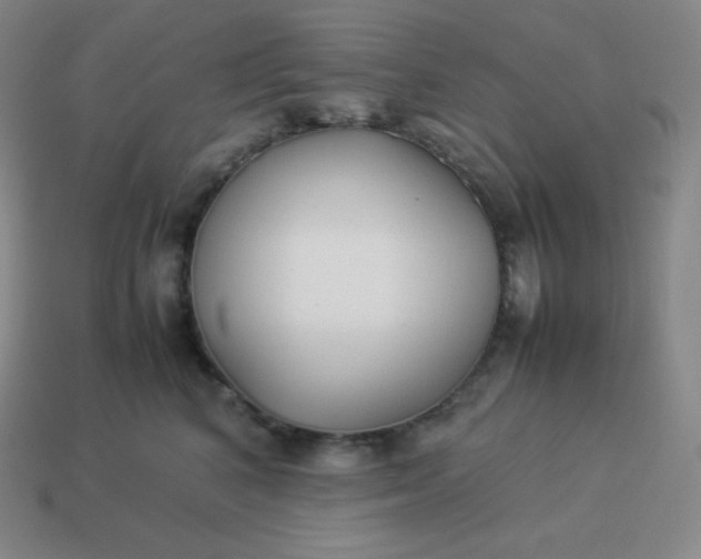 X0000113910616200910081851