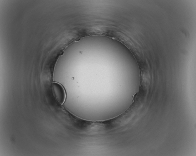 X0000113910617200910081851