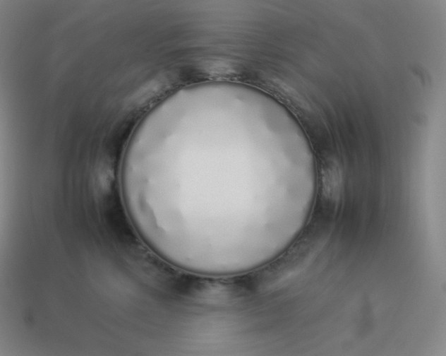 X0000113910618200910081851