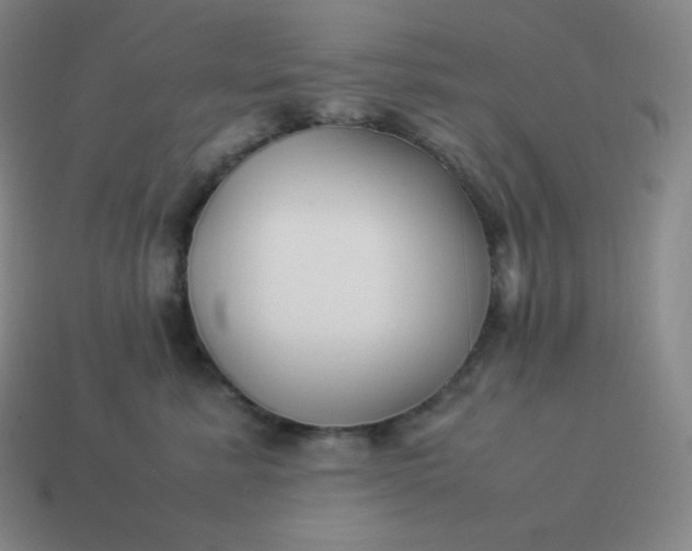 X0000113910619200910081851