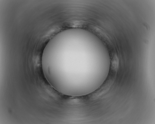 X0000113910620200910081851