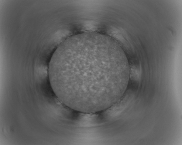 X0000113910621200910081851