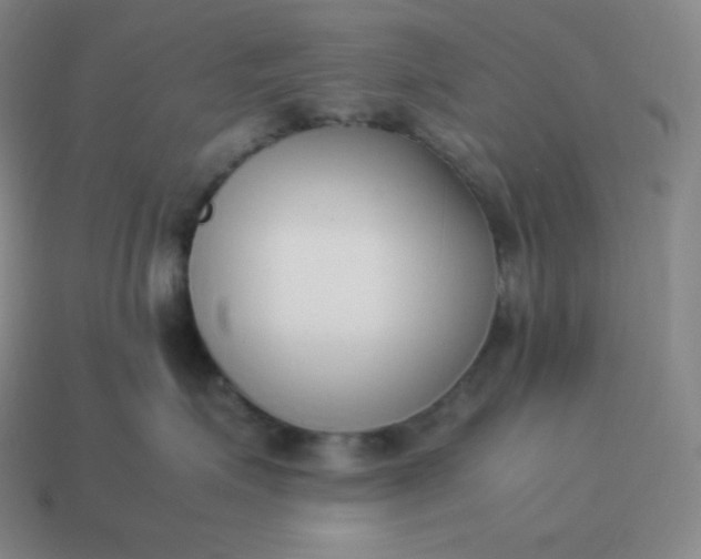 X0000113910623200910081851