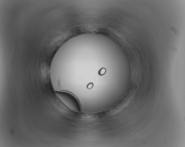 X0000113910624200910081851