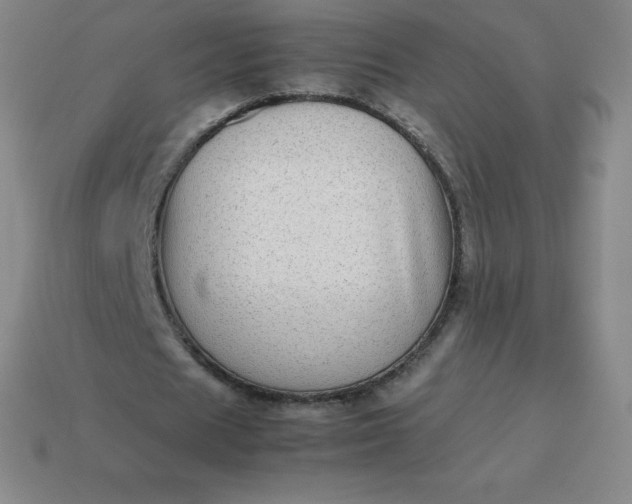 X0000113910625200910081850