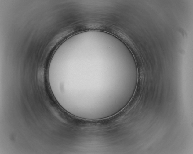 X0000113910626200910081850