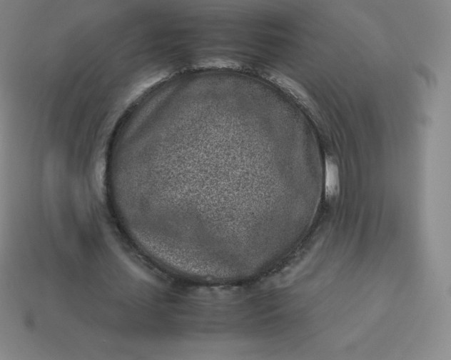 X0000113910627200910081850