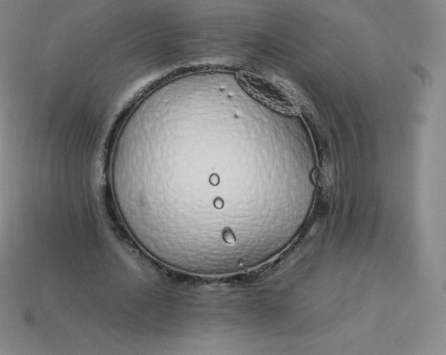 X0000113910628200910081850