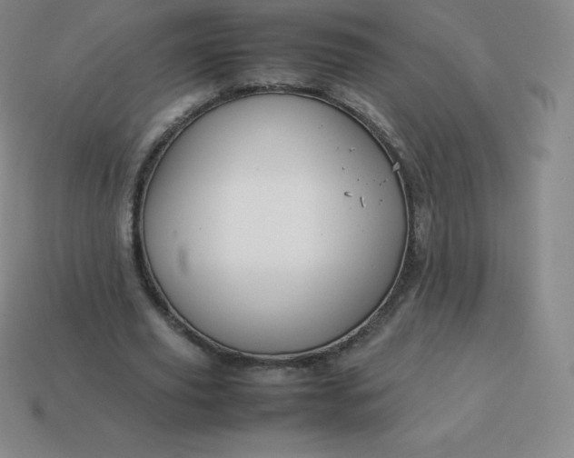 X0000113910629200910081850