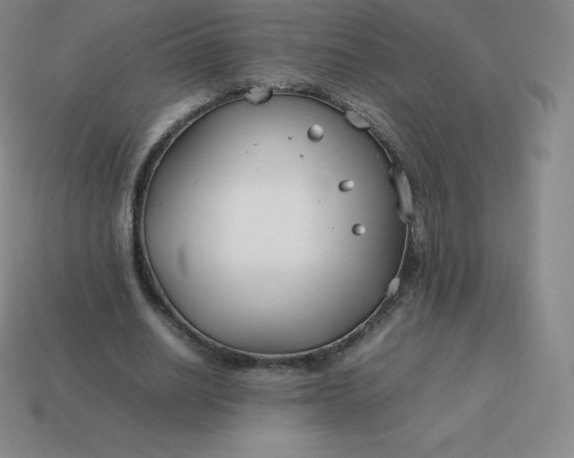 X0000113910630200910081850