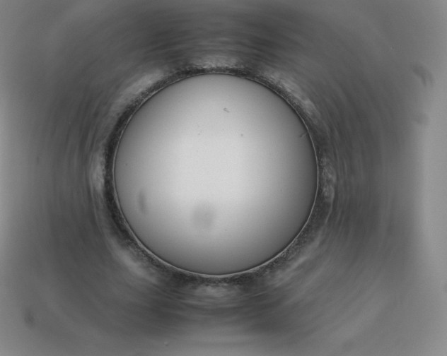 X0000113910631200910081850