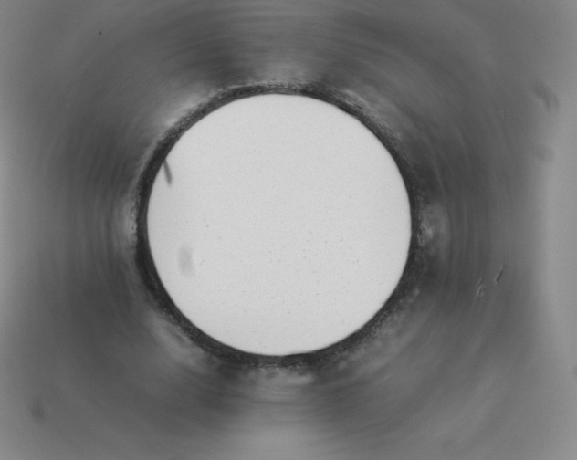 X0000113910632200910081850