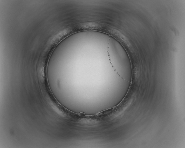 X0000113910633200910081850