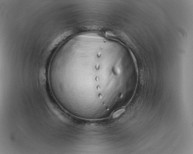 X0000113910634200910081850