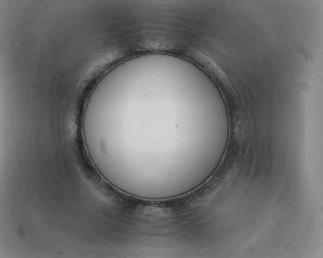 X0000113910635200910081850