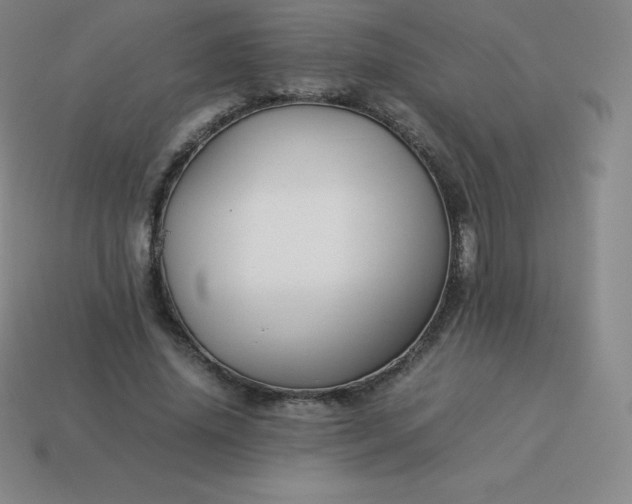 X0000113910636200910081850