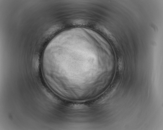 X0000113910637200910081850