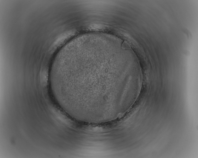 X0000113910640200910081850