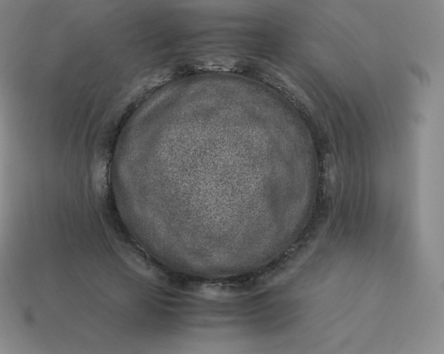 X0000113910641200910081850