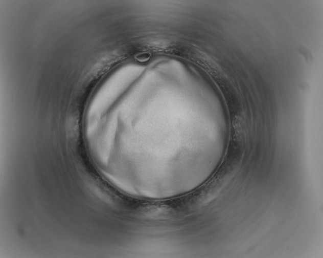 X0000113910642200910081850