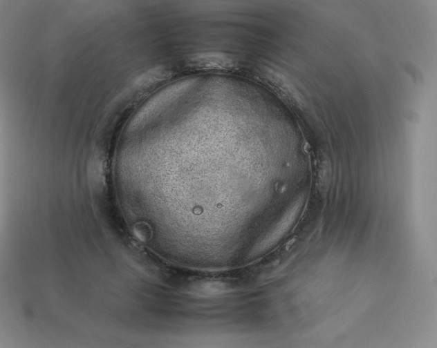 X0000113910643200910081850