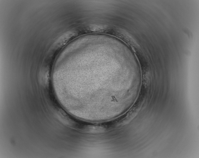 X0000113910644200910081851